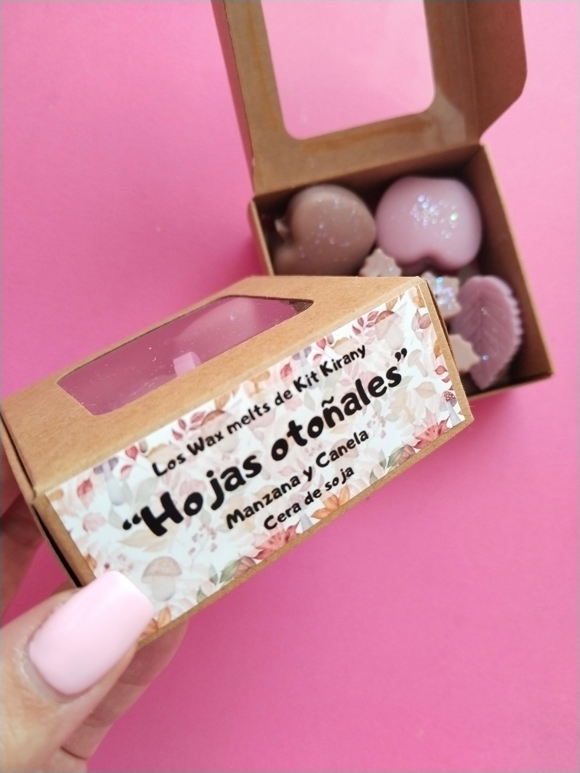 Wax melts de kit kirany : Hojas de otoño 