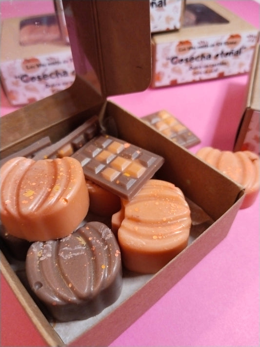 Wax melts de kita kirany: Cosecha otoñal